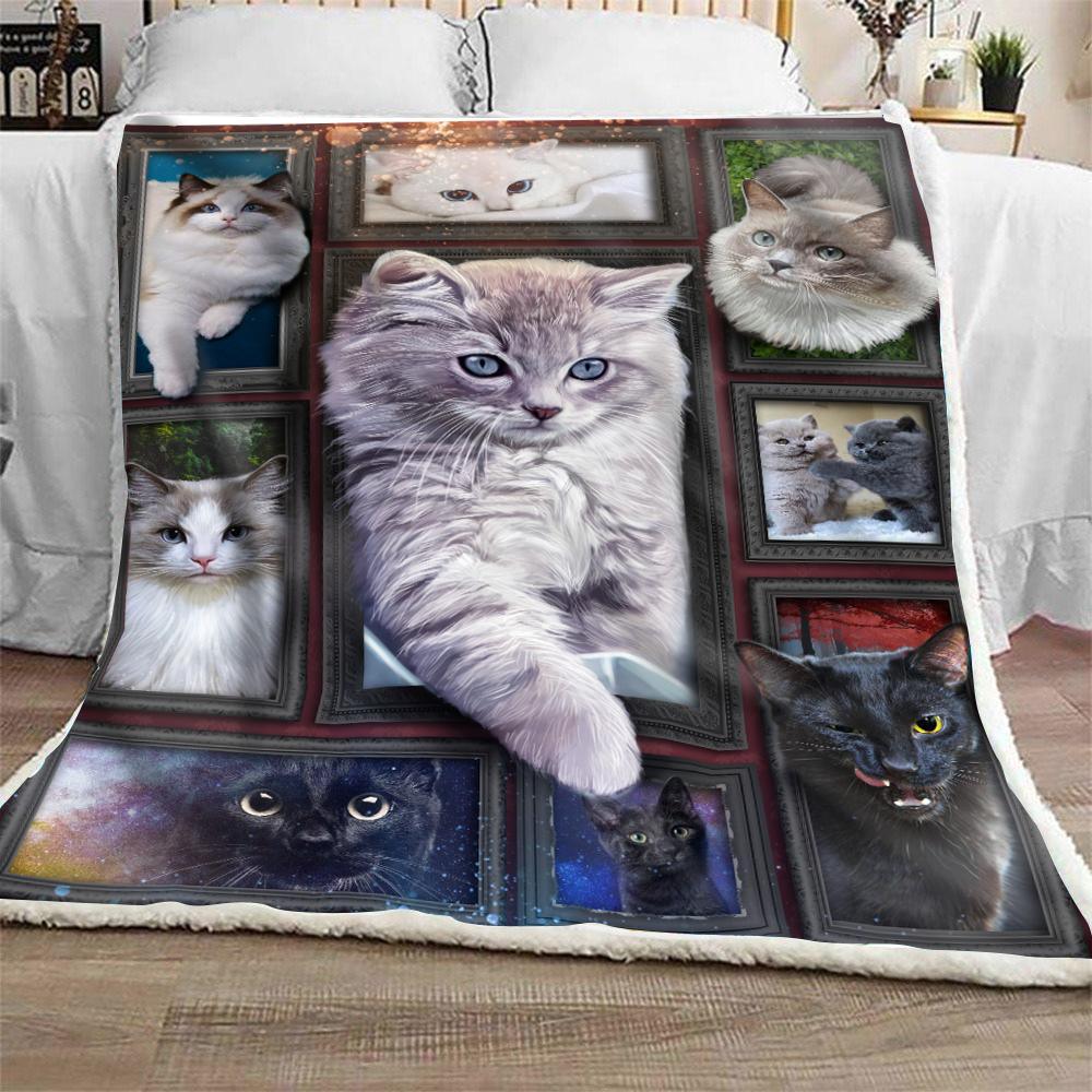 Cozy & Soft Persian Cat Blanket- 1B1017C - Creative Fans